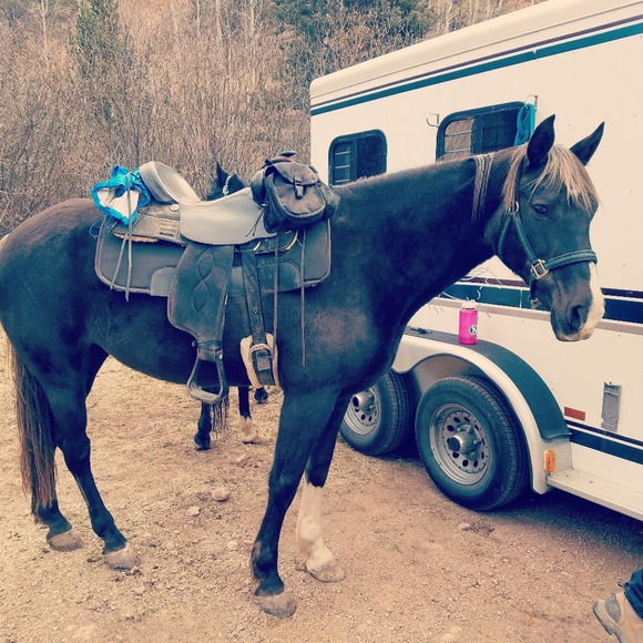 Meet your Posher, Kim - Picture 1 of 1